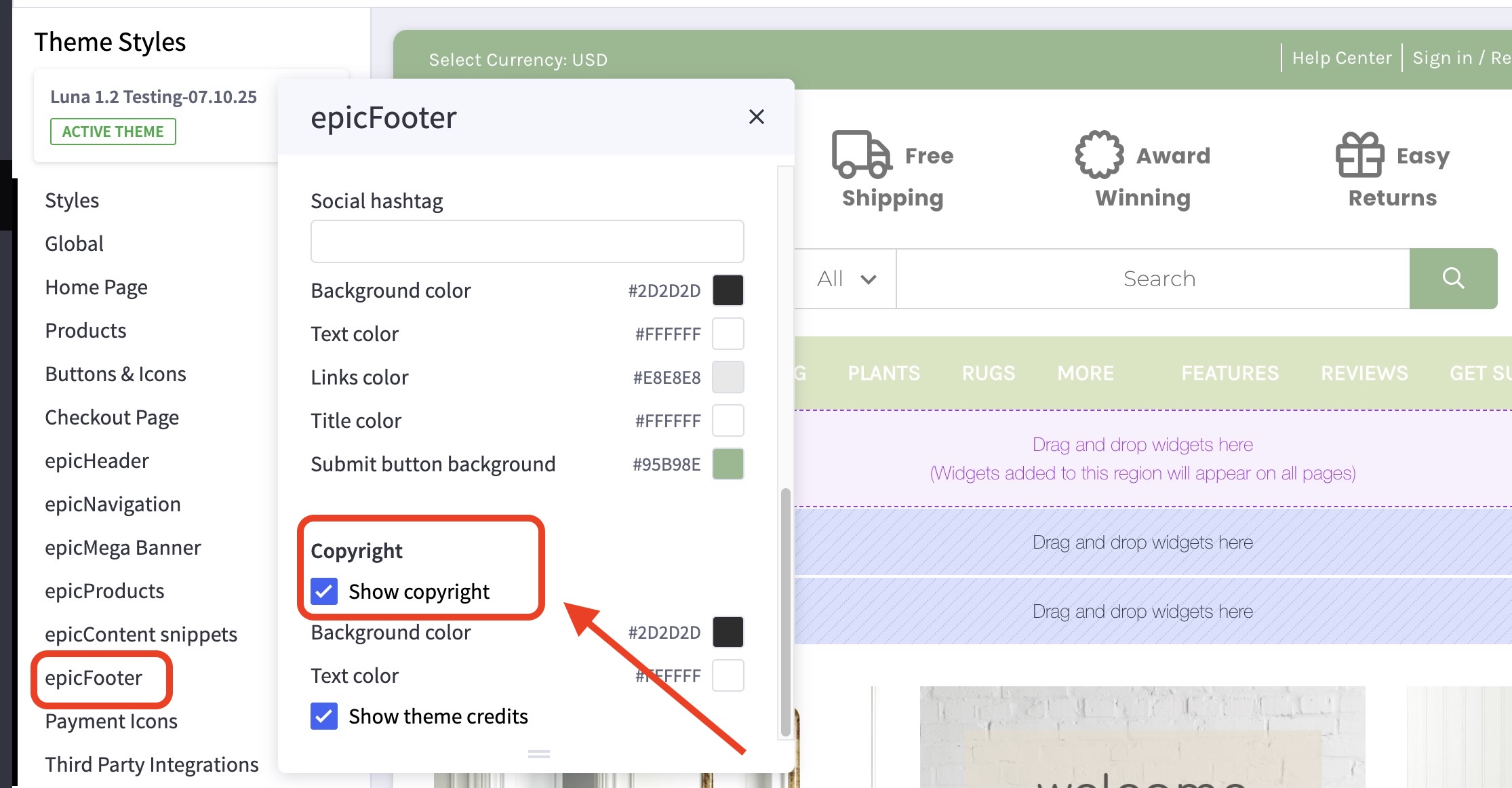 Luna theme footer customization screen highlighting the copyright section with checkboxes to display copyright and theme credits.