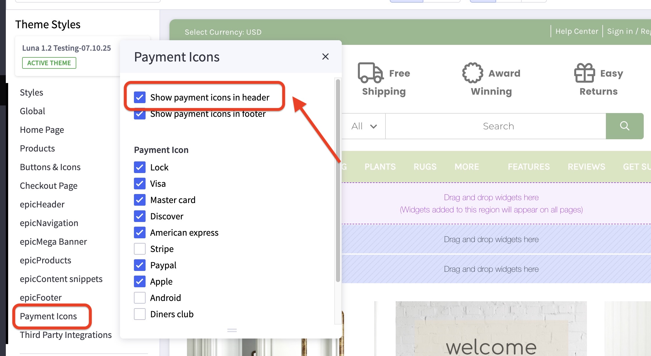 Luna theme Styles “Payment Icons” settings with “Show payment icons in header” enabled and payment options checkboxes.