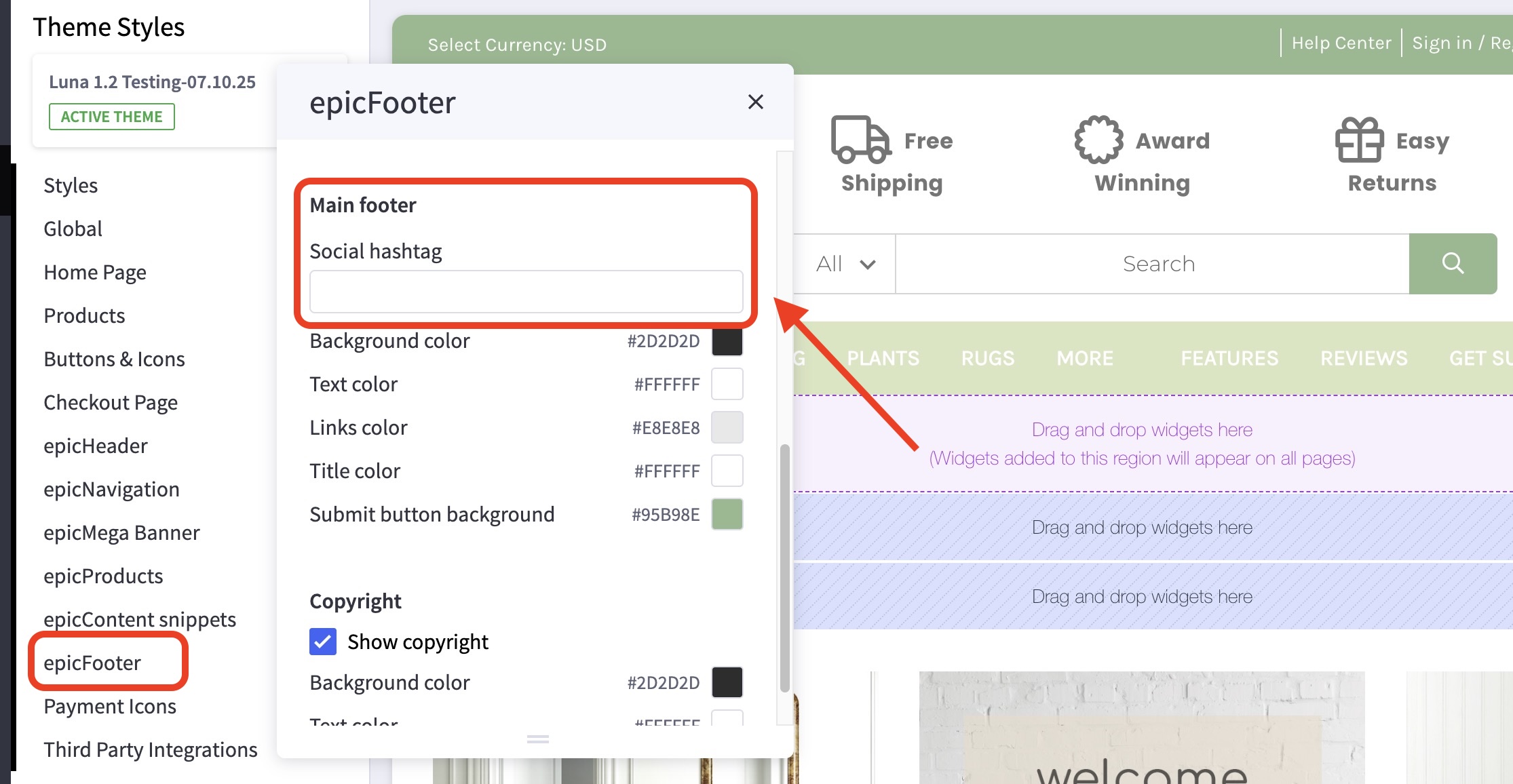 Luna theme footer options, focusing on the Social hashtag input box used to display a branded hashtag in the main footer.