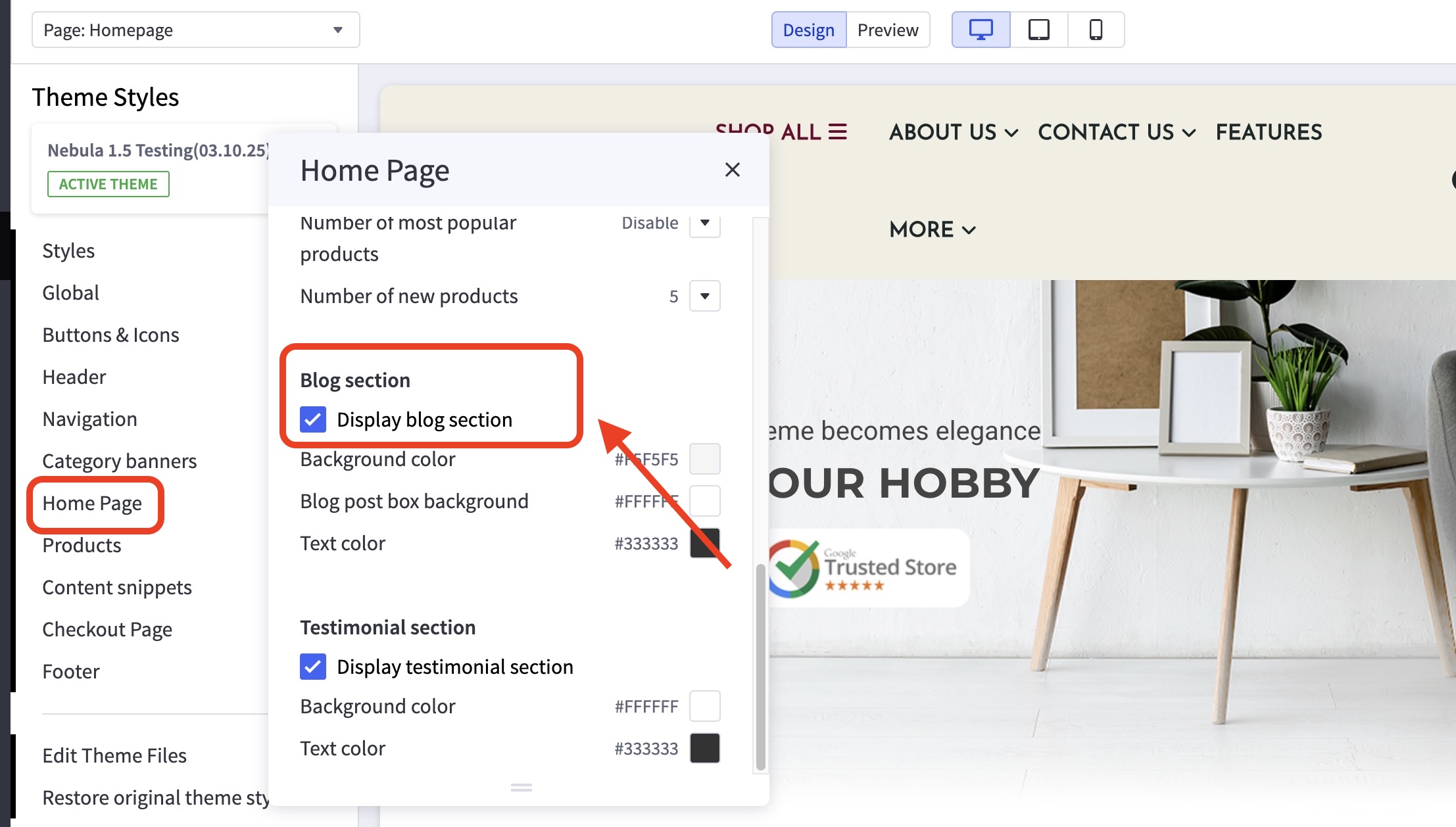 Nebula theme Home Page settings panel with “Display blog section” checkbox enabled and highlighted.