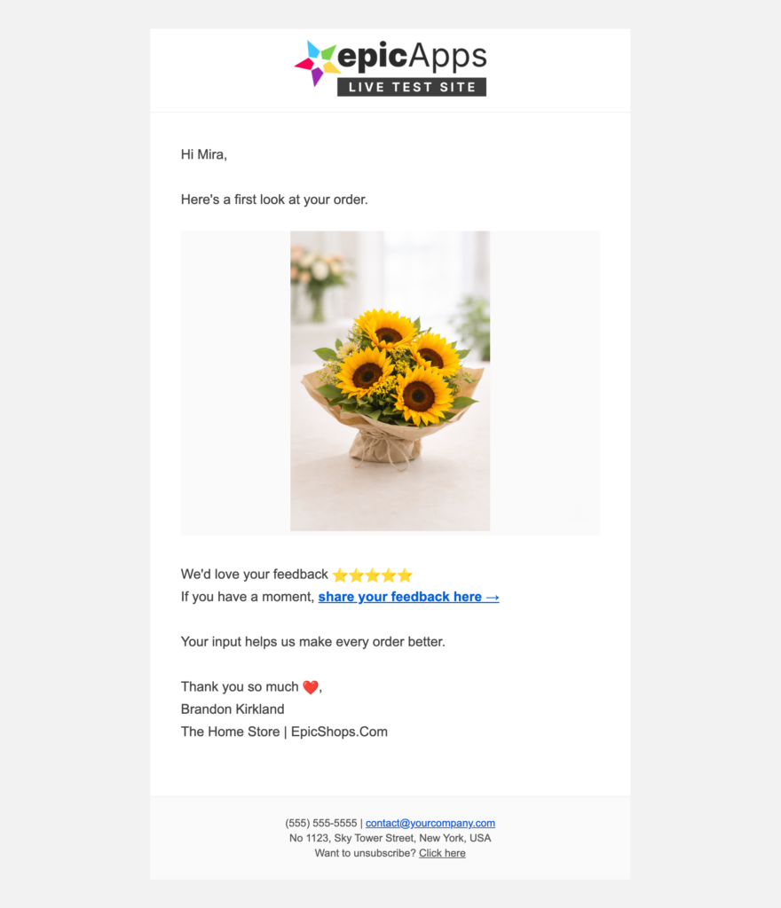 Review request email displaying the purchased item along with a button for the customer to leave a review.